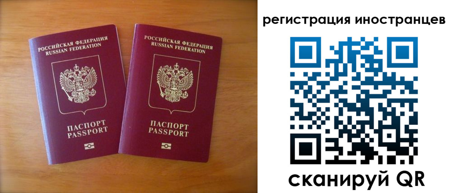 прописка поиск в Смоленской области